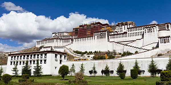 西藏本土企業(yè)